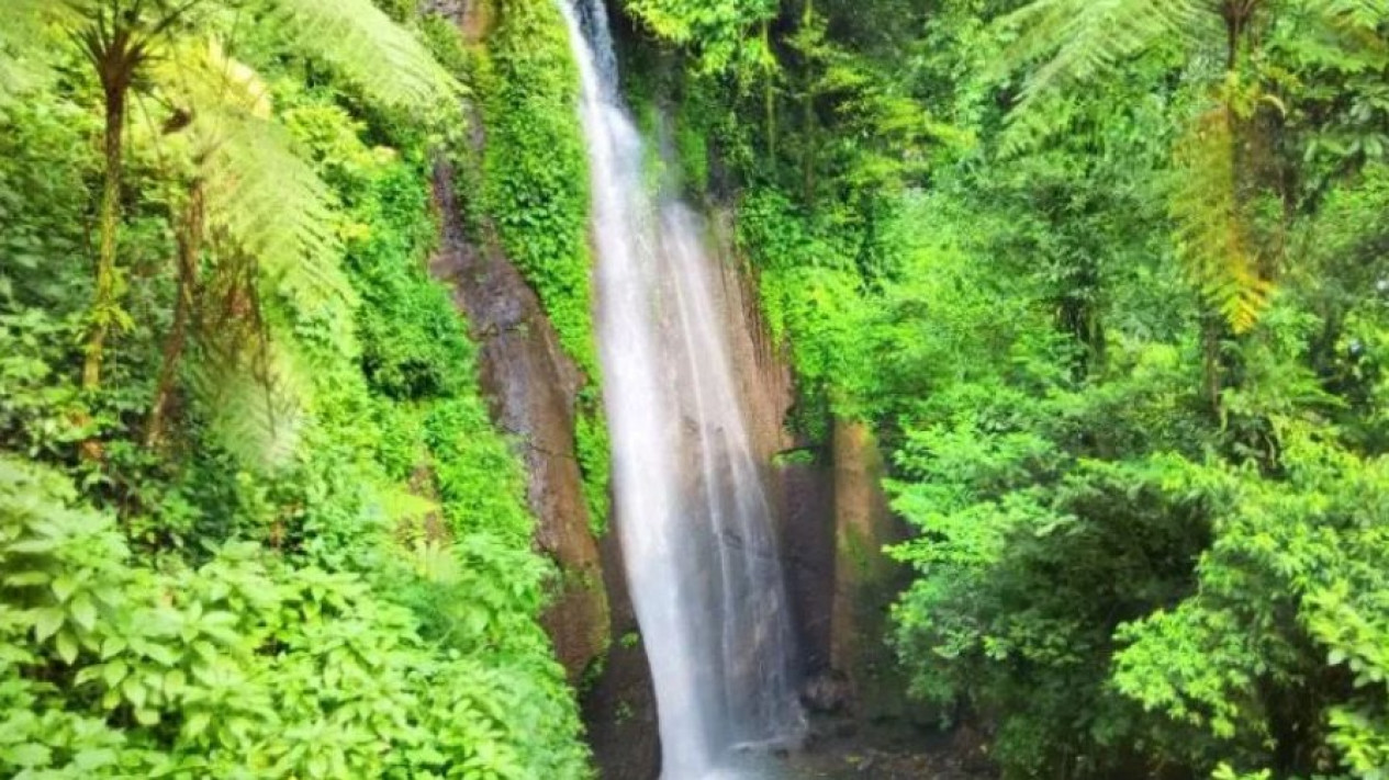 Curug Nangka, Wisata Air Terjun Keren Nan Indah Di Bogor